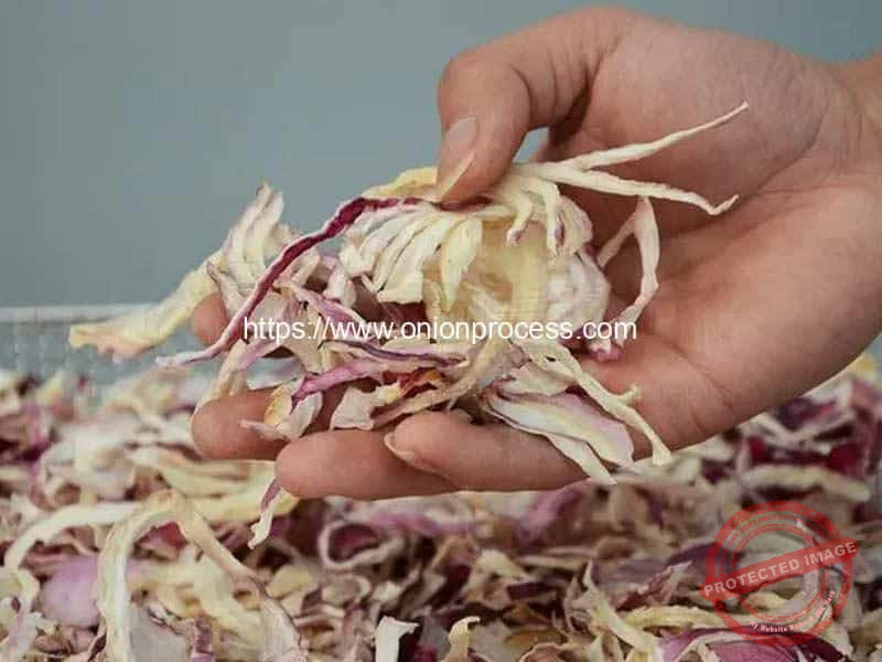 Dehydrated-Onion-Slice-Dryer-Machine